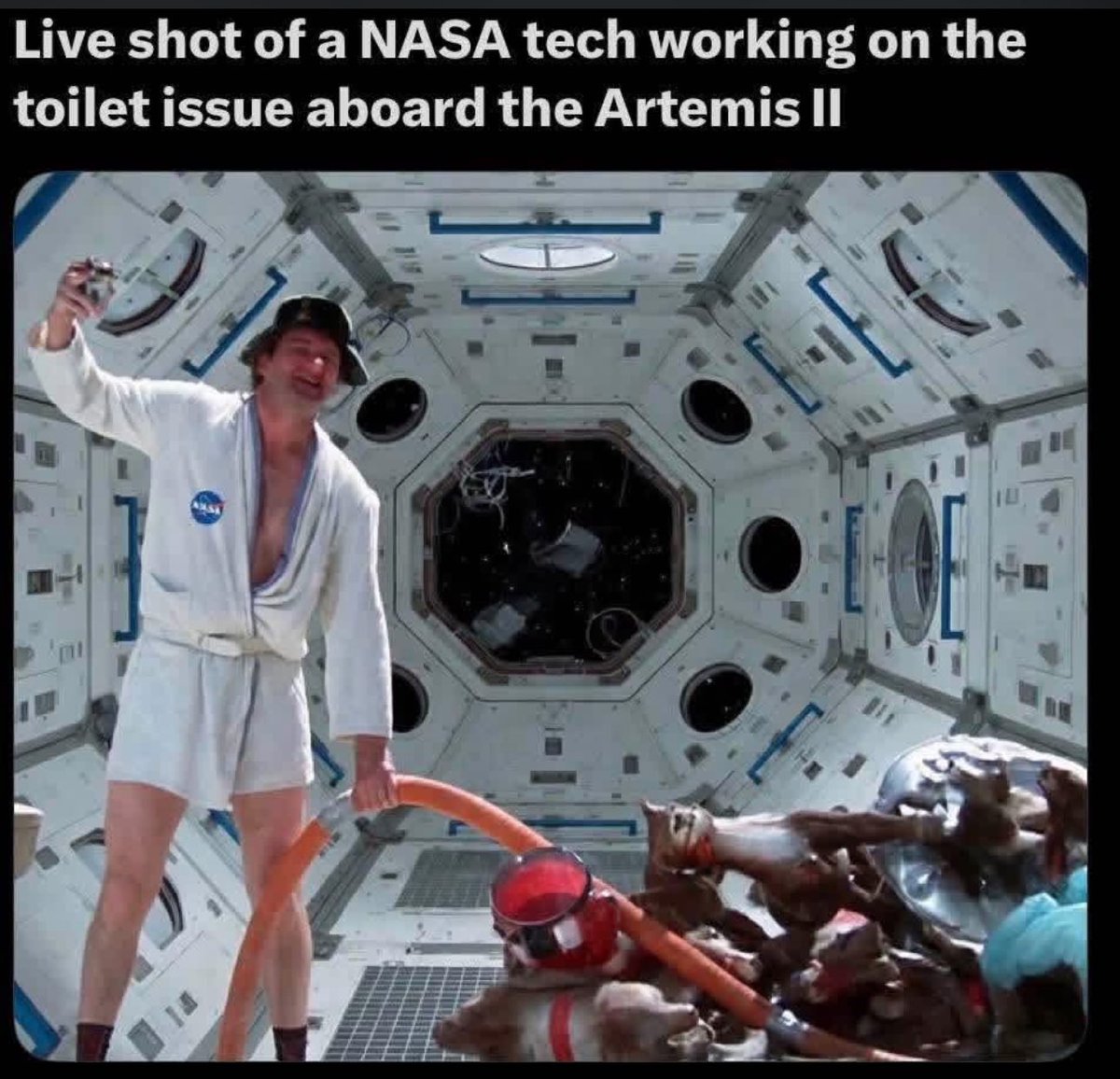 Thrilla the Gorilla tweet media