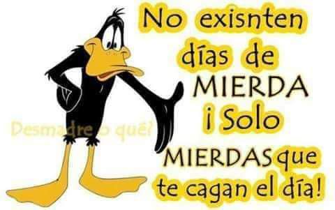 alejandro_73723's tweet photo. @CENACCIONCHILE @biobio @adnradiochile @CHVNoticitas_cl @T13 El final.
De los canallas.
🤔🤔🤔🤔🤔🤔 https://t.co/I9wGEmNpid