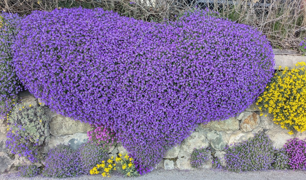 Marie-Jo Siggen tweet media