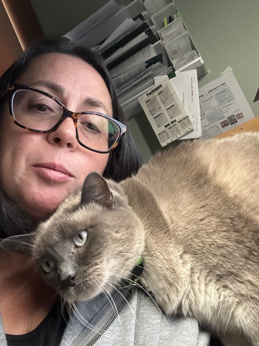 LeapPhotography's tweet photo. Today we're celebrating #NationalSiameseCatDay in the studio.  Our photographer Brenda has 2 beautiful gals in her home thanks to #HappyJackCats
Do you have a #siamese ?  If so, share your photos in the comment below. https://t.co/f1A8pMjRoq
