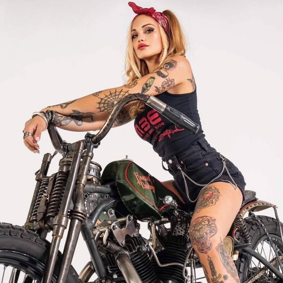 William Dailey tweet media