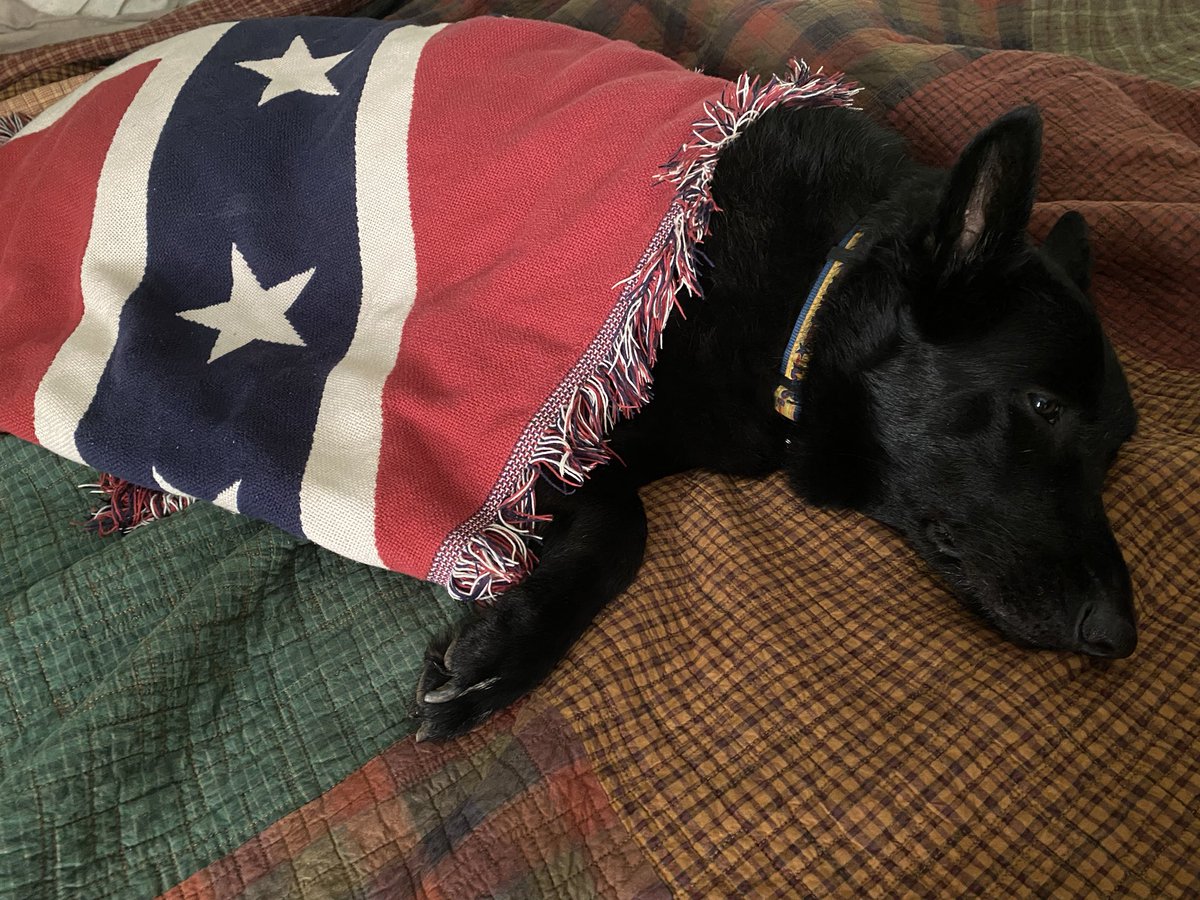 Dissident Mama tweet media