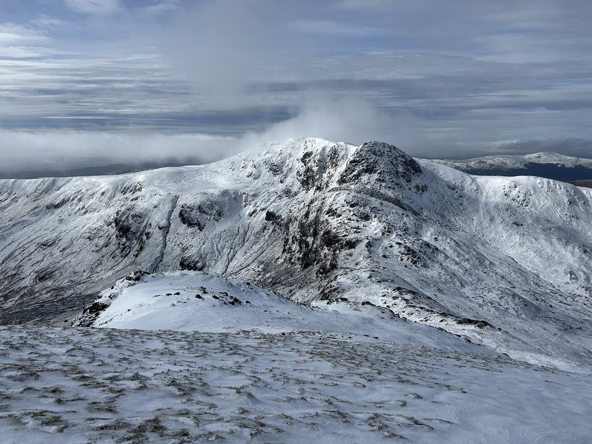 Iain Cameron tweet media