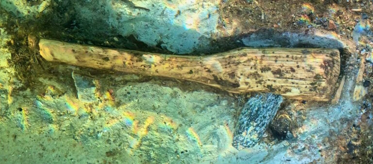 Ticia Verveer tweet media