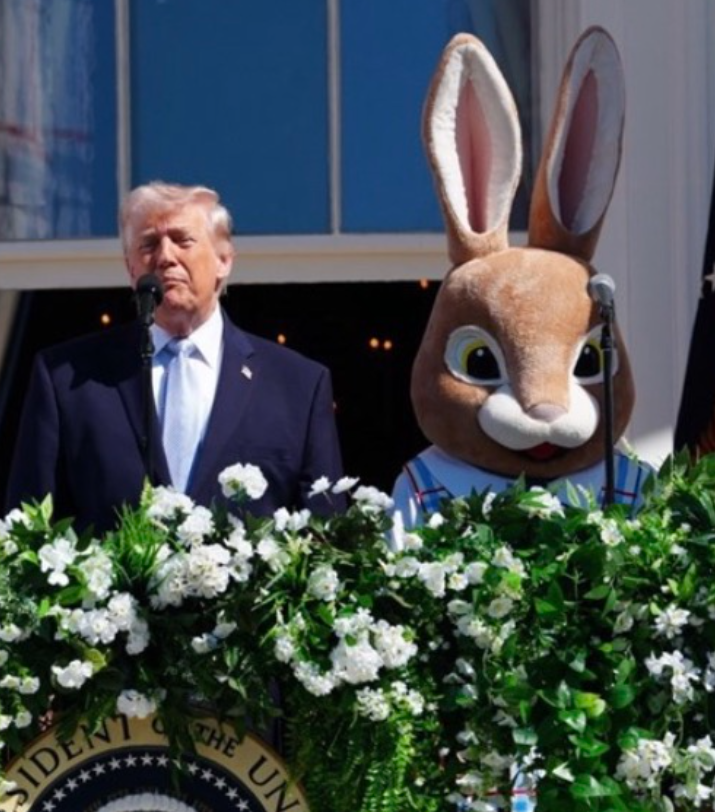 Nikolai Holmov tweet media