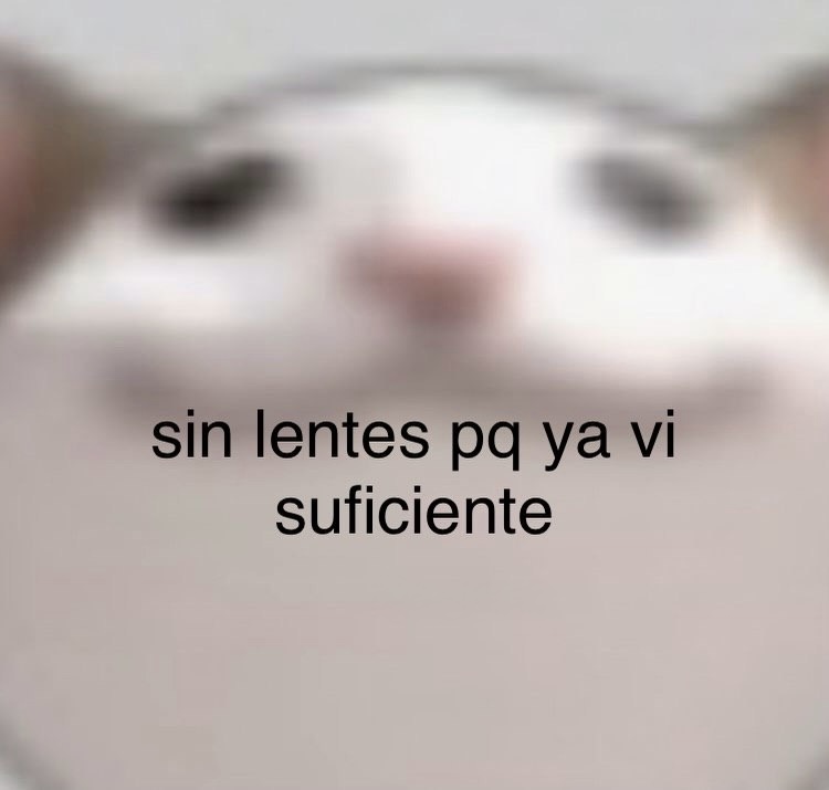 Mundo de Bigotes tweet media