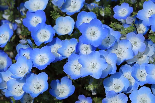 GL9AFbdUc8b81kS's tweet photo. 皆さま😊
おはようございます👋😊☁️
令和8年4月7日(火)
今日も宜しくお願いします☕🥐
素敵な火曜日を🥰🥰 https://t.co/oyrPefquFi
