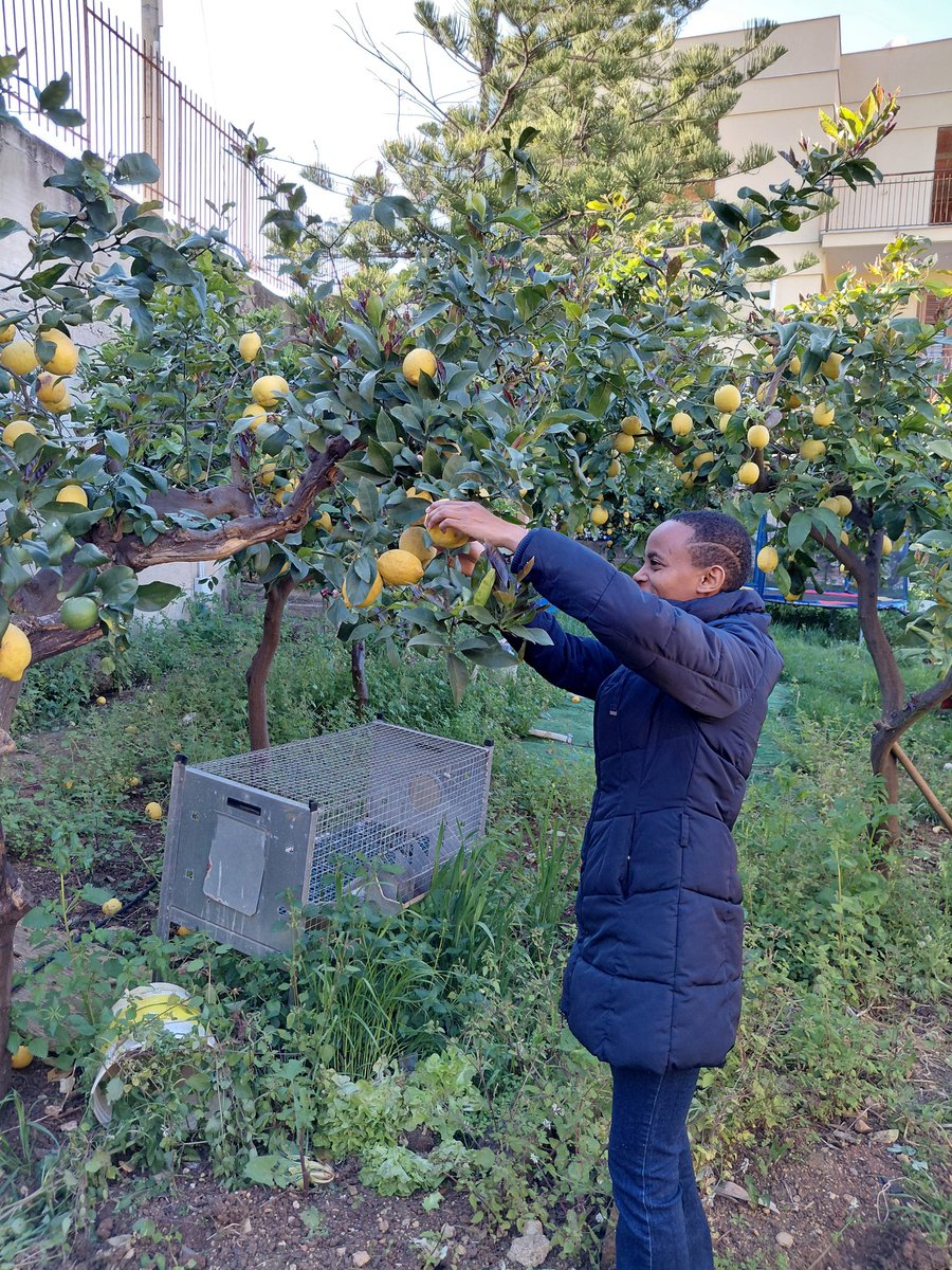 MiriamMkanza_phd tweet media