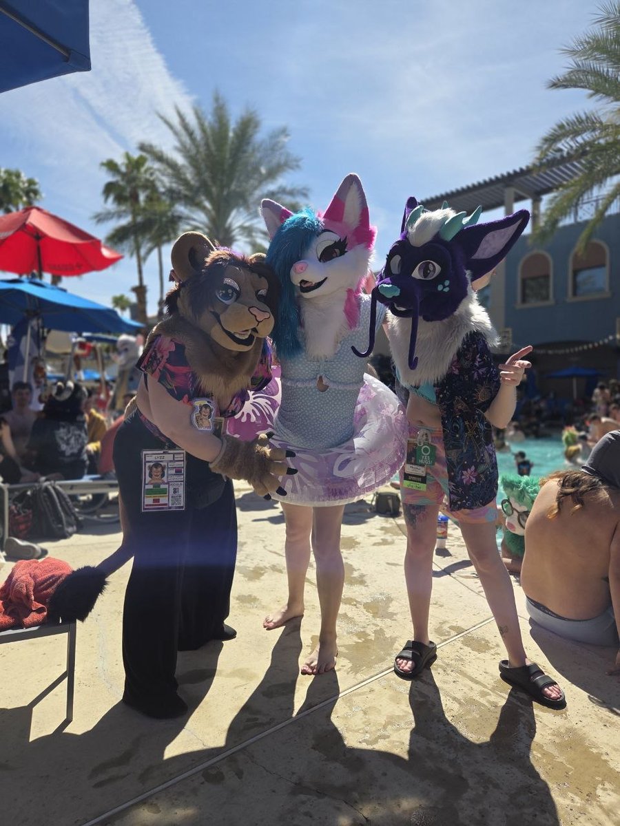 🐉✨️Momo✨️🐉🔜Denfur tweet media