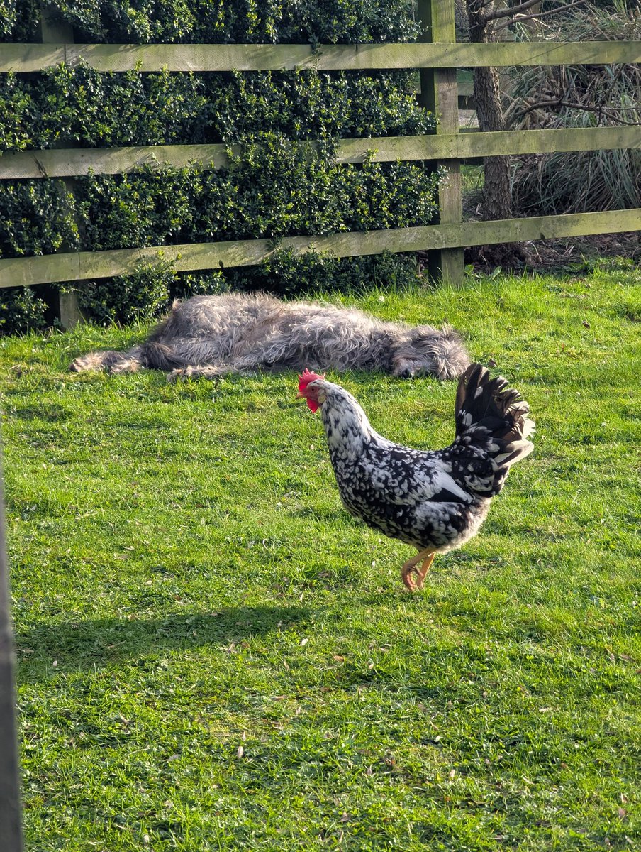 Stuart Klinke tweet media