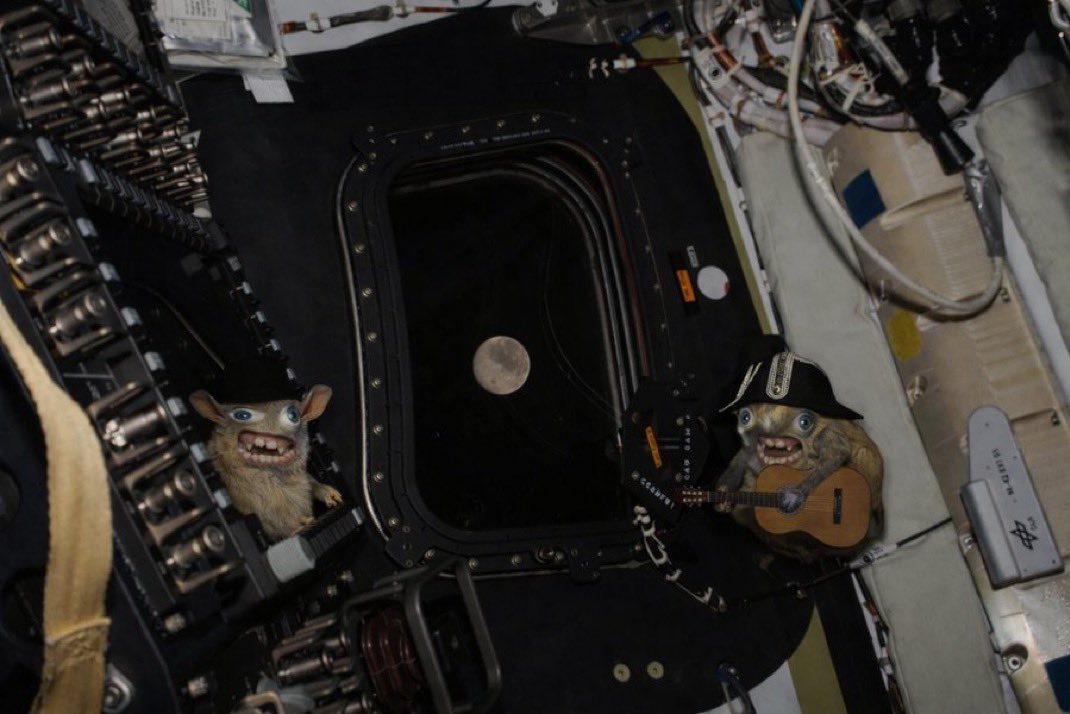 𝔇𝔬𝔠 tweet media