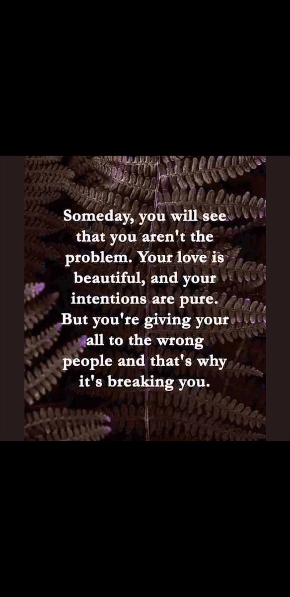 Lorraine Foley tweet media