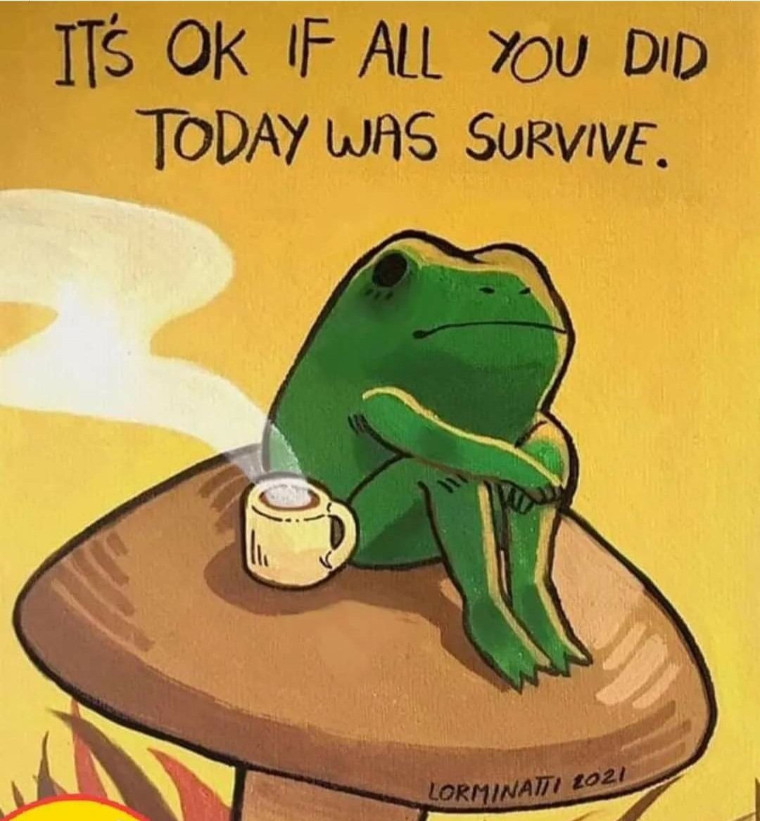 Lorraine Foley tweet media