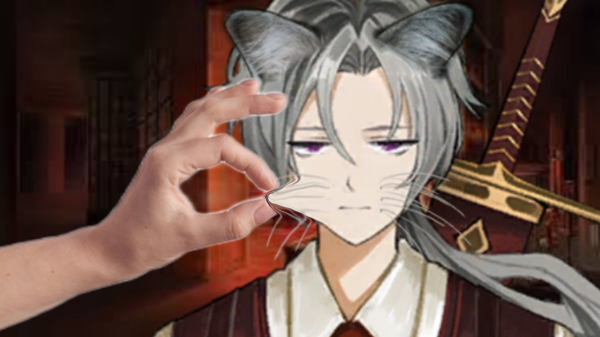 The thumb meowprentice, Lucio. 🐈 tweet media