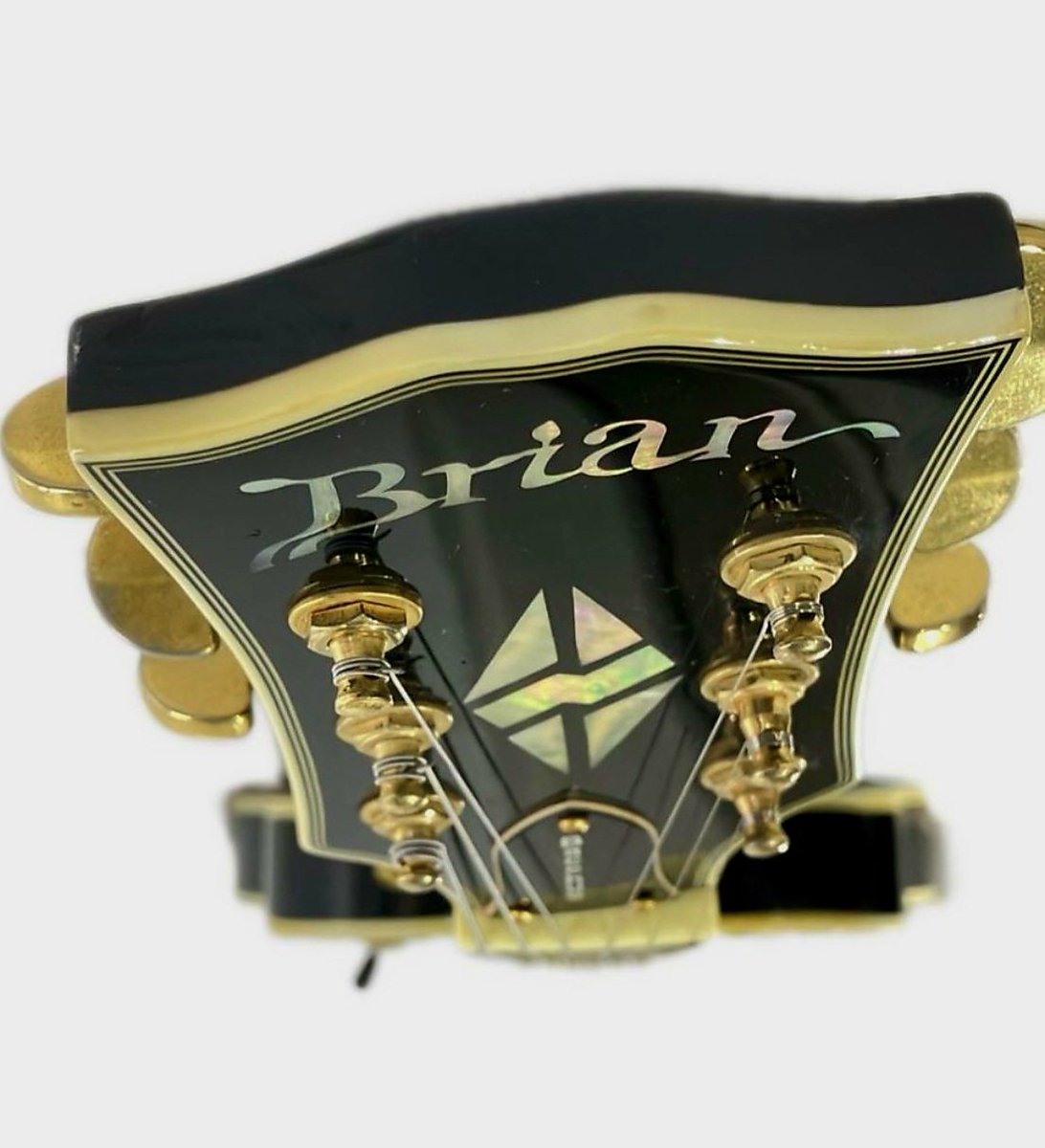 BriansElectro's tweet image. My name is on a jacked up crooked neck Chibson. 😆🤘
#Guitar #RocknRoll