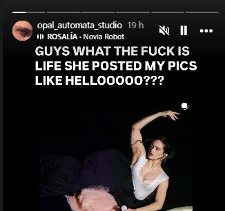 una random deseosa de fama/ el fotógrafo real con educación e intenciones puras