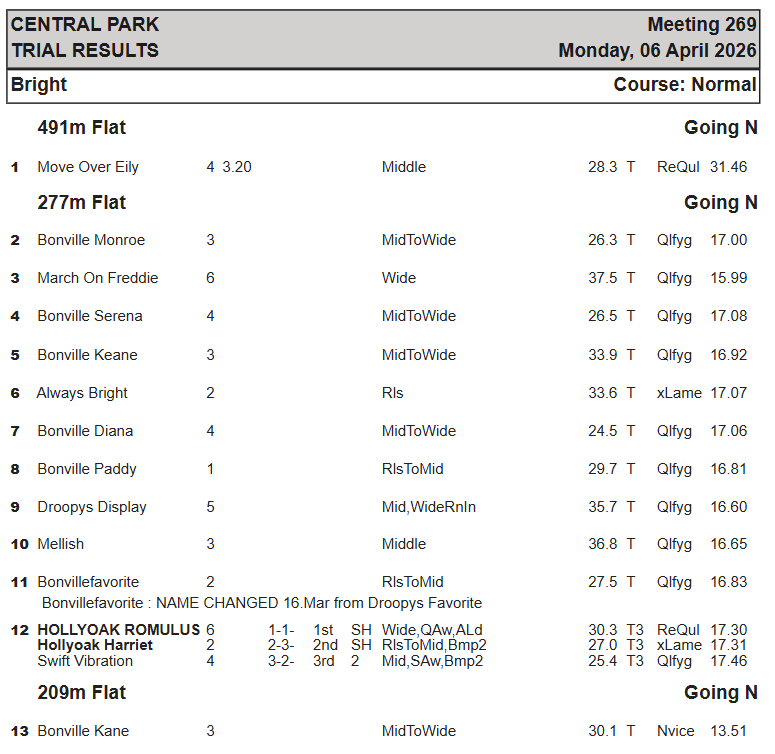 Central Park Stadium tweet media