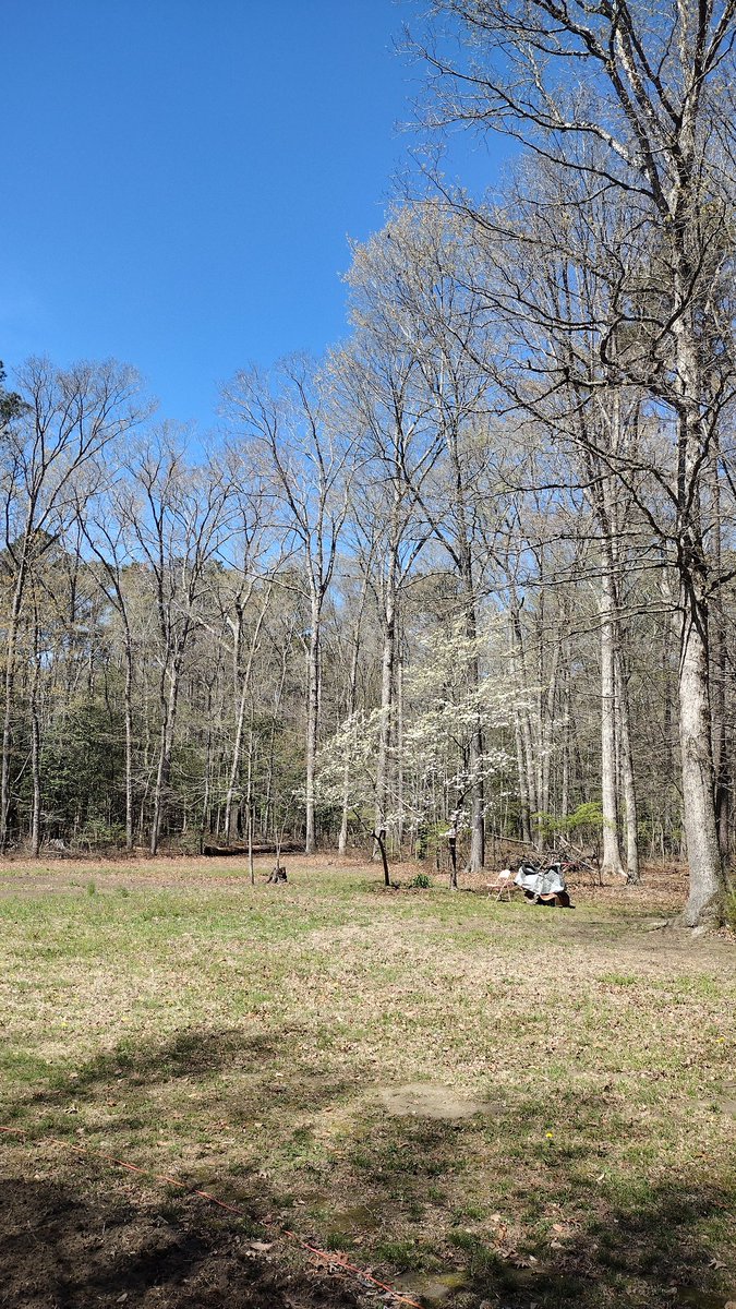 Sinking Creek tweet media