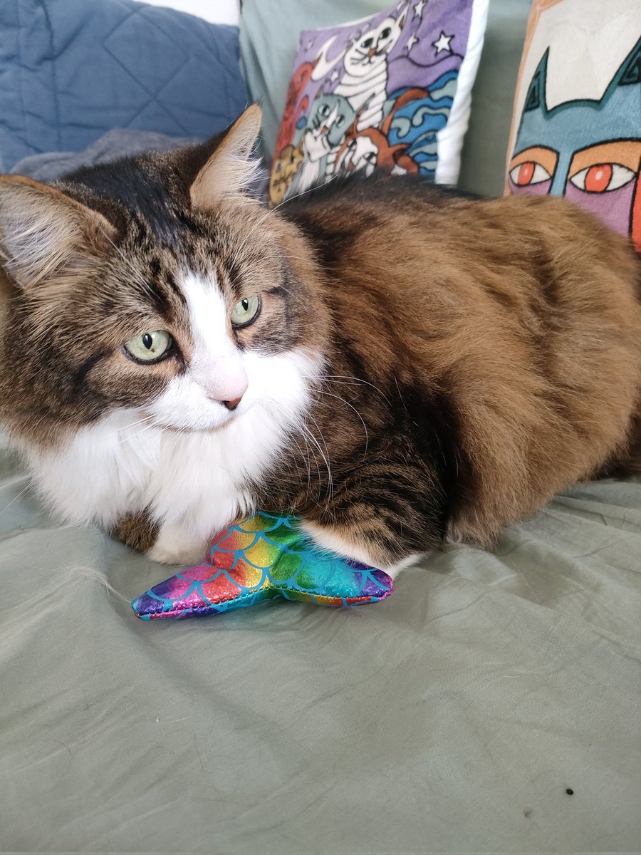 ✨ Val_Paillettes ✨ tweet media