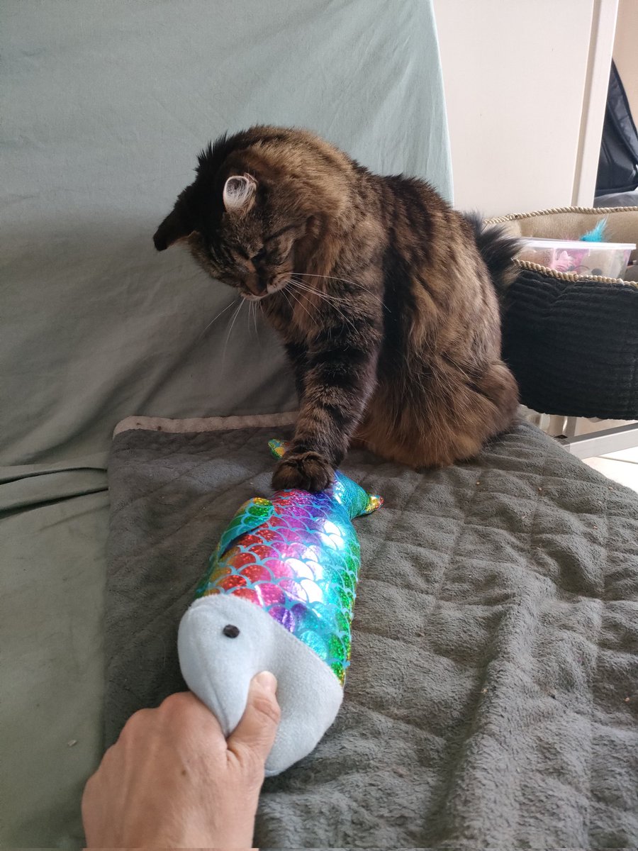 ✨ Val_Paillettes ✨ tweet media