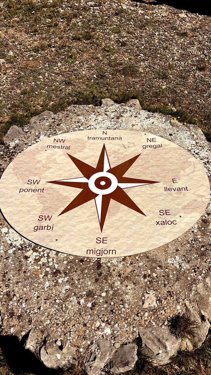 Ivan Romeu tweet media