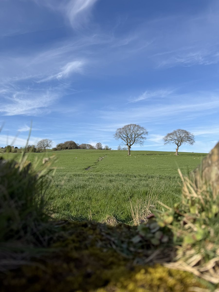 Soham Deshpande tweet media