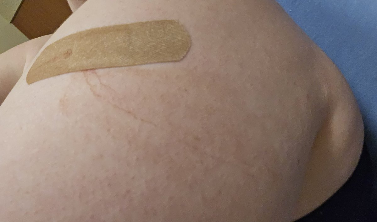 AkiiFae 🐱☕ tweet media