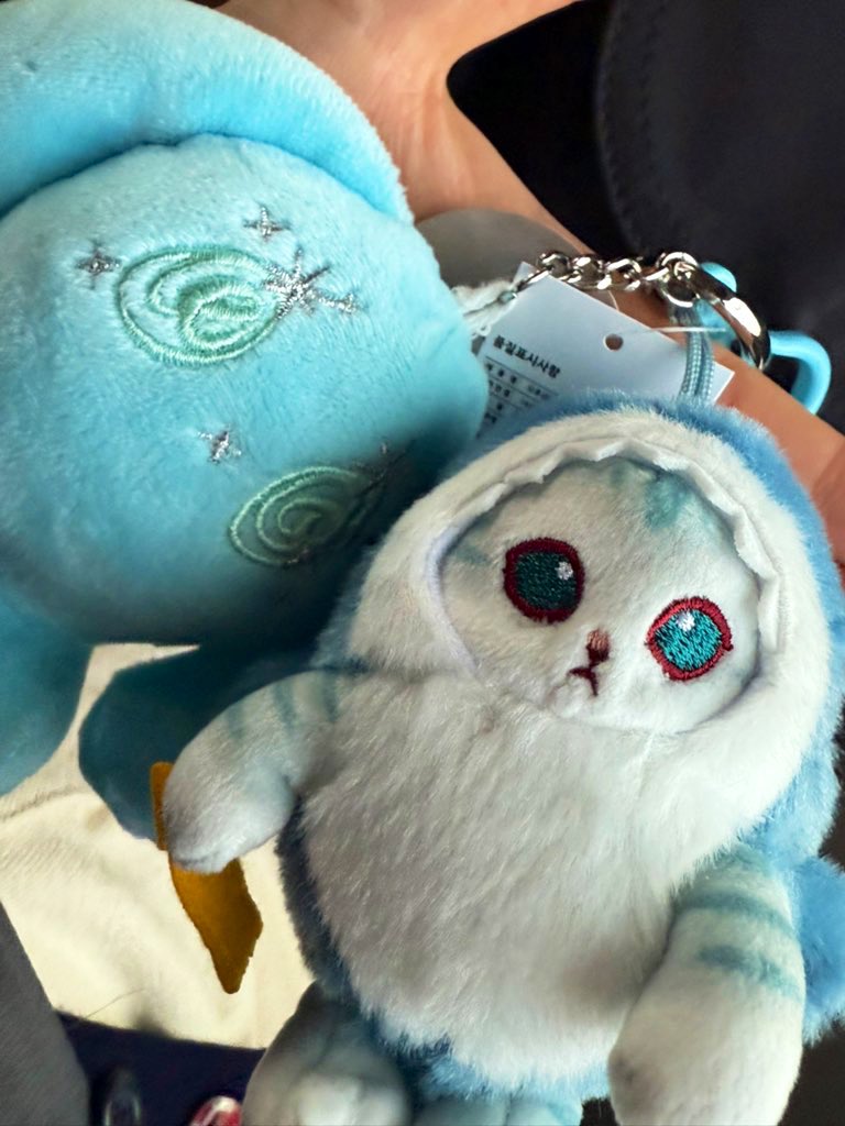 백반67그릇 tweet media