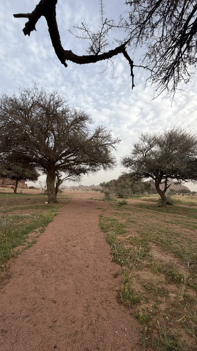 مها🤍hail tweet media