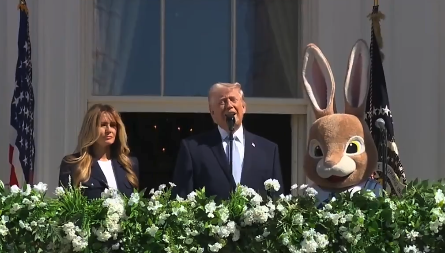 mikel ayestaran tweet media