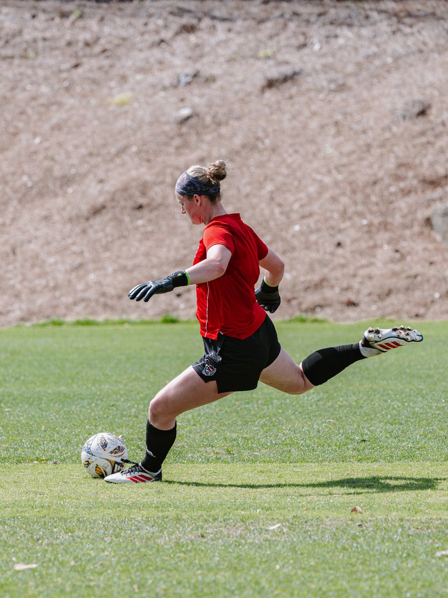 NC State Women's Soccer tweet media