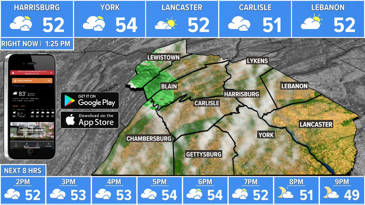 Andrea Michaels tweet media