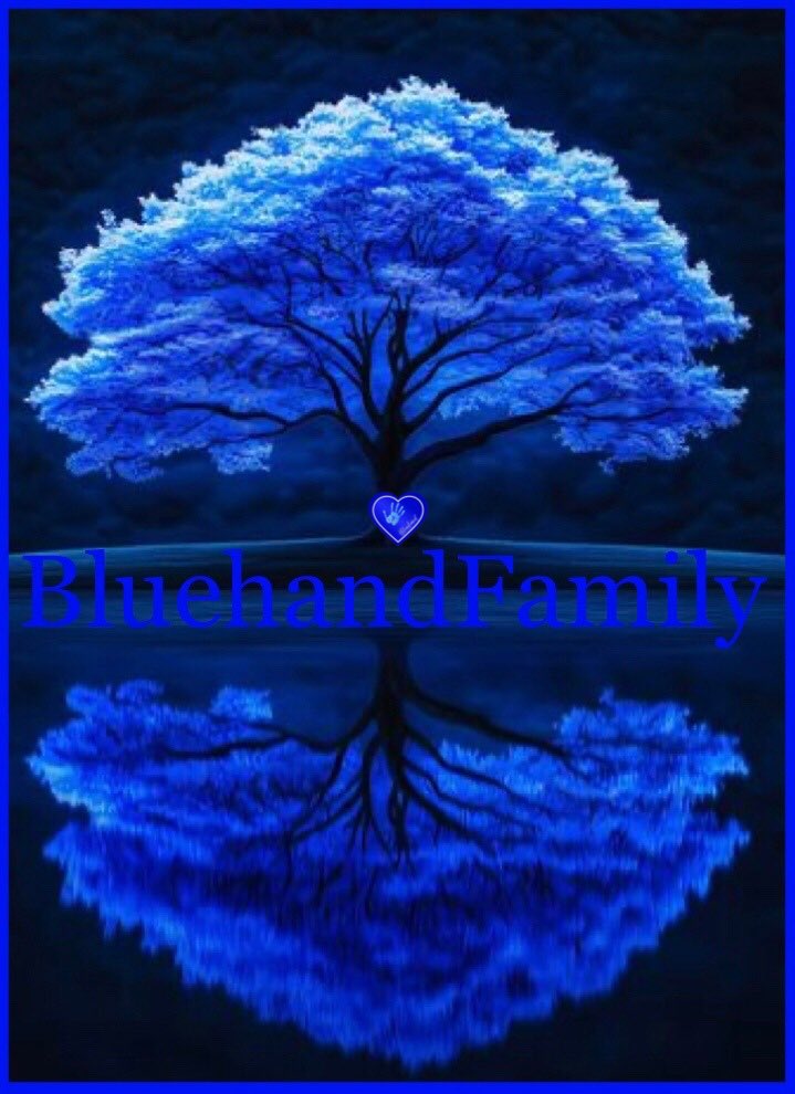 LillyRose_bh's tweet photo. @Sainthere1 Hi Sweet Sis 🙋‍♀️🤗☕️😎🕊️

Happy Monday…

I’m glad you found me Sis 🤗🥰

I hope you and your family had a Blessed Resurrection Sunday…

Many Blessings.. 🕊️💙 https://t.co/7UtFKZfdOx