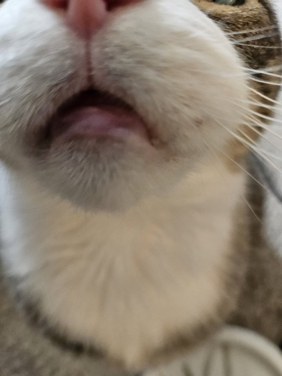 ProtonYhae's tweet photo. @archaix138 😻 https://t.co/3VifUdwgmL