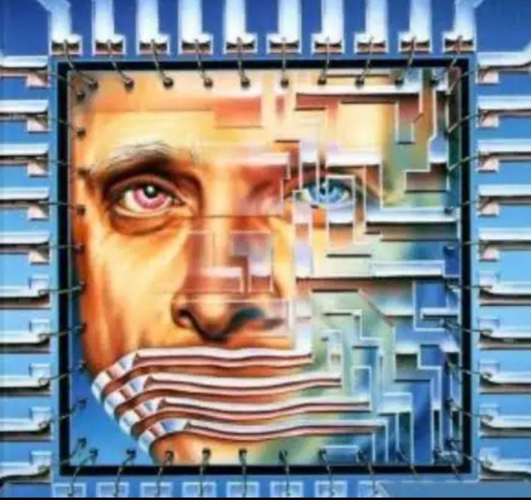 the_collector_master tweet media