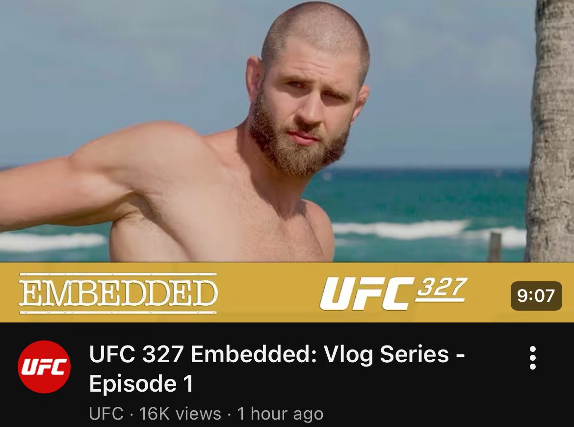 Blind Bear 🐻🕶️ tweet media