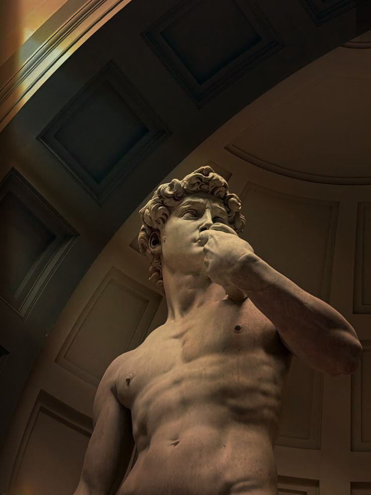 Learn Latin tweet media