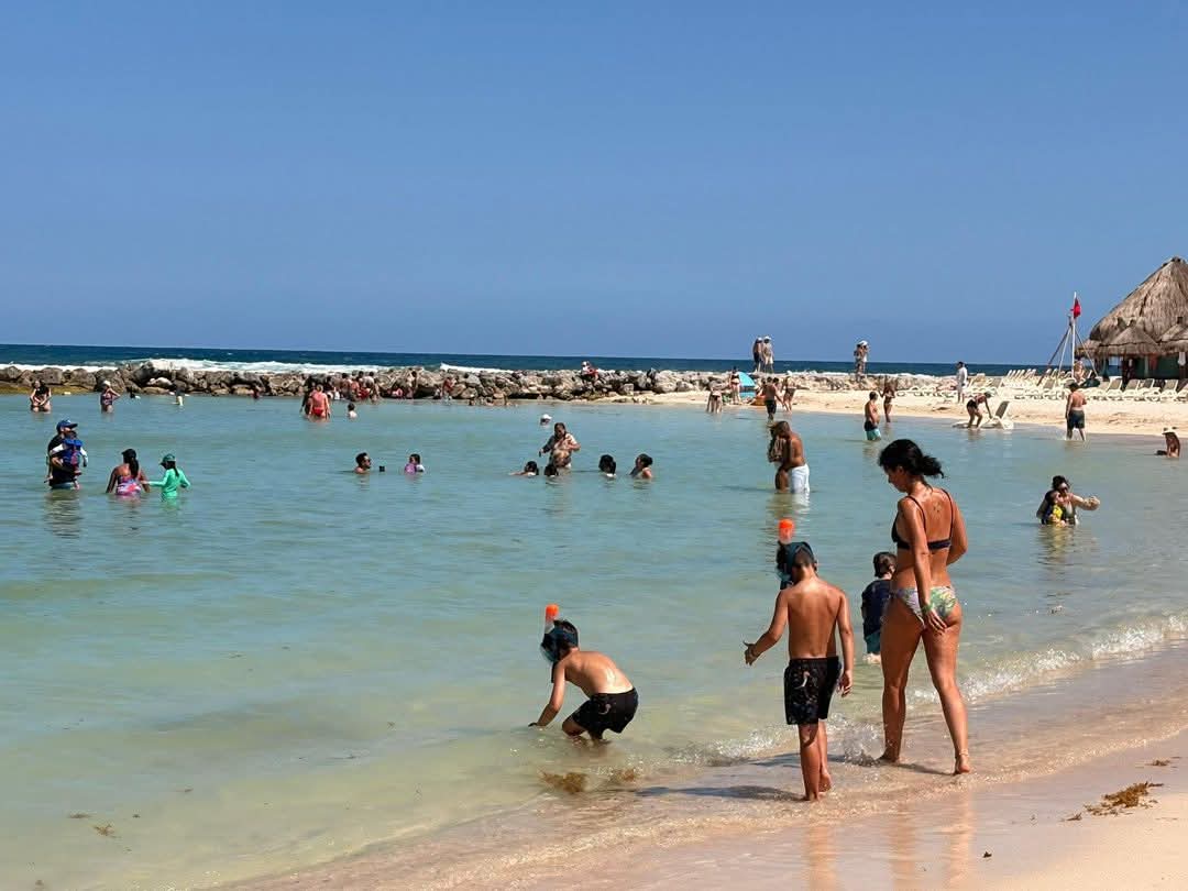 Playa Riviera tweet media