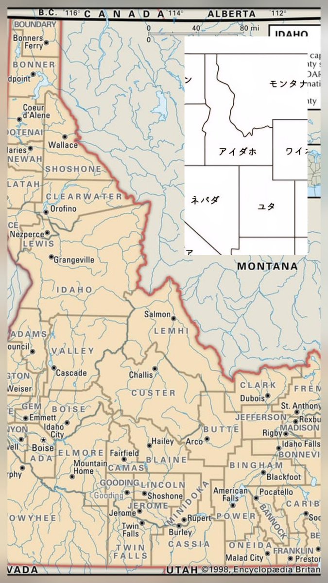 DwindleProof tweet media