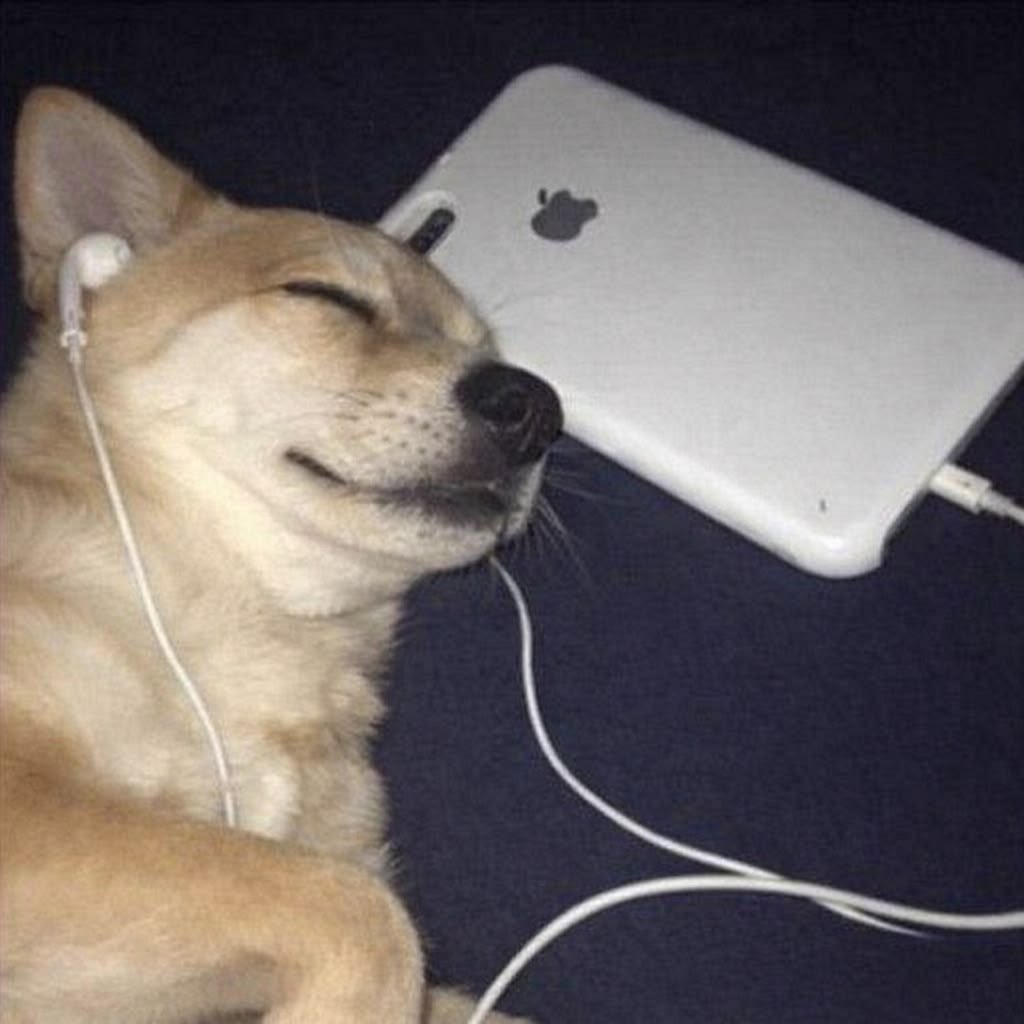 Pete.nvich tweet media