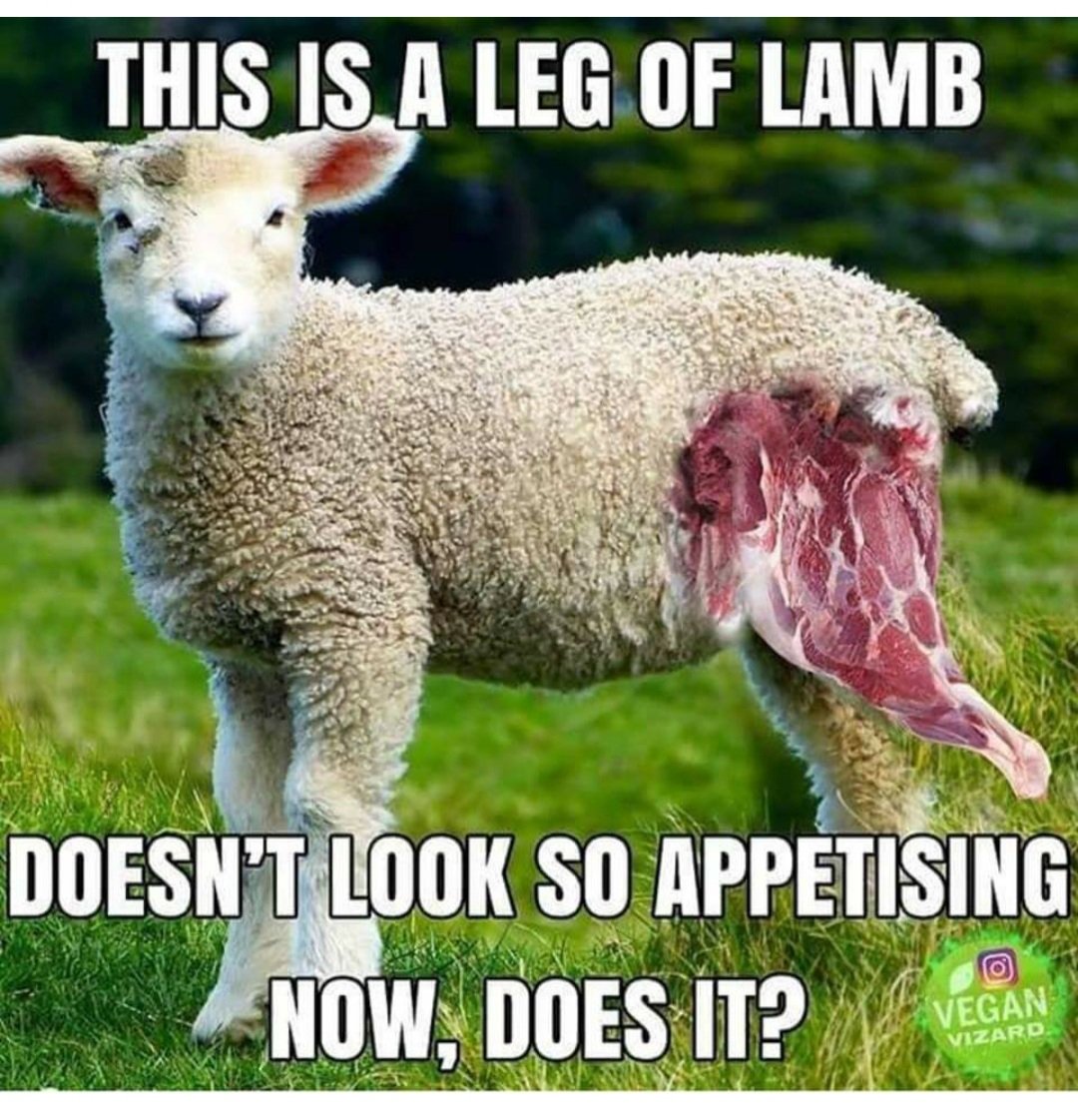 Lorraine Foley tweet media