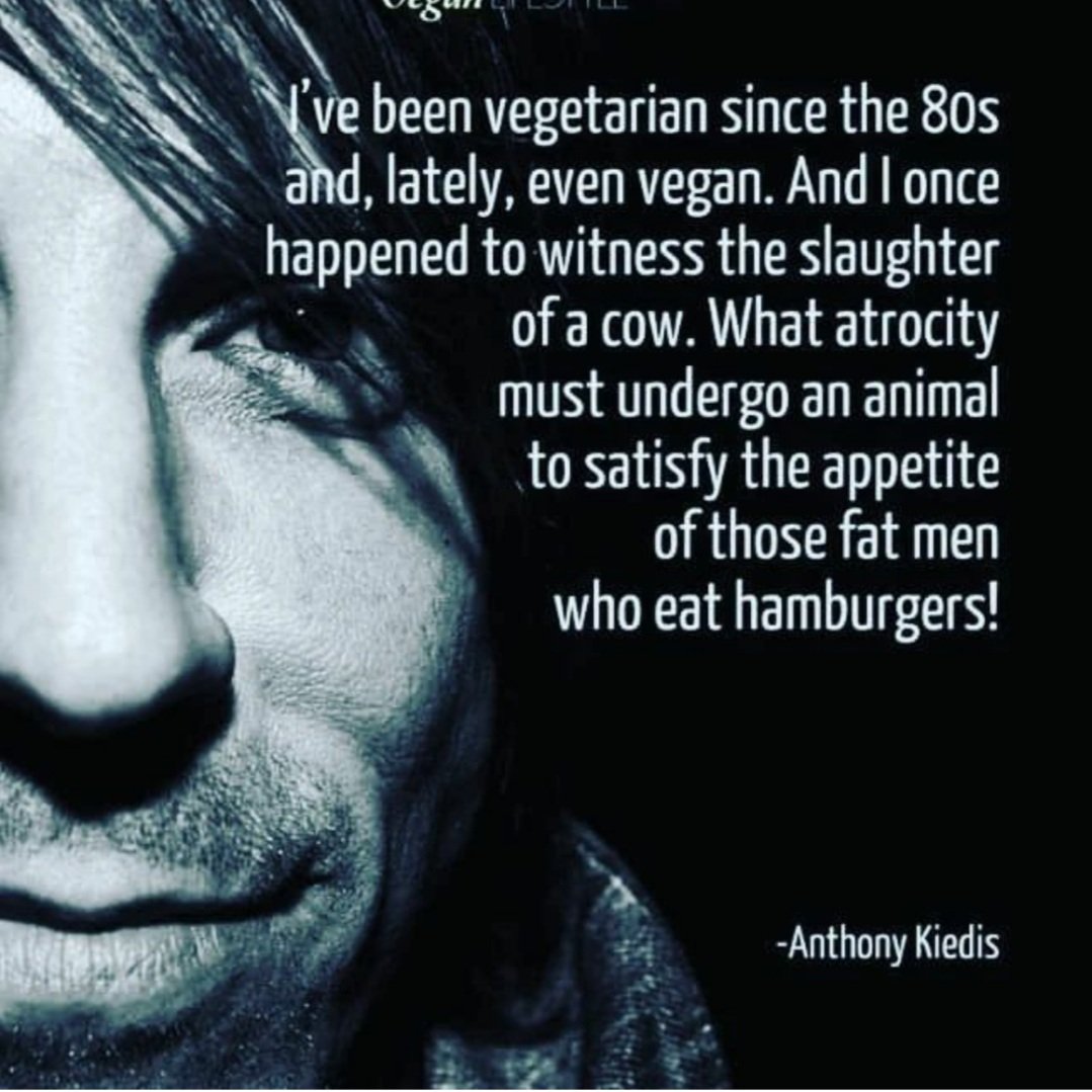 Lorraine Foley tweet media