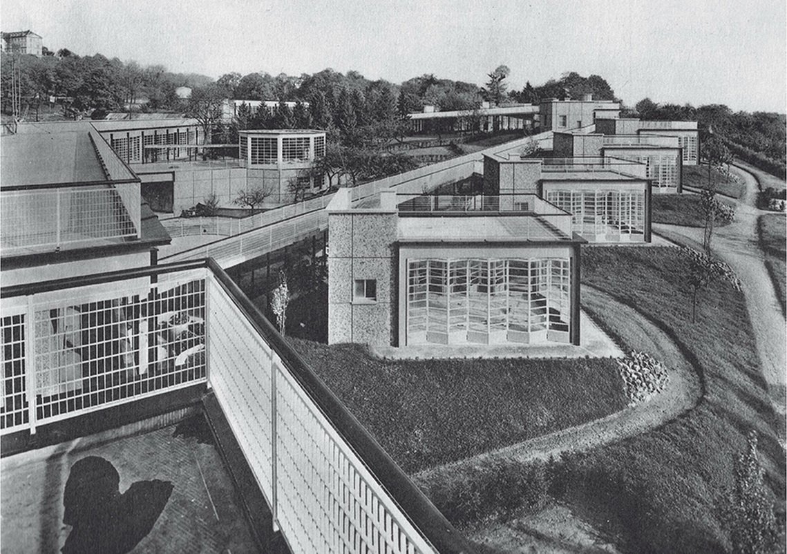 archistar tweet media