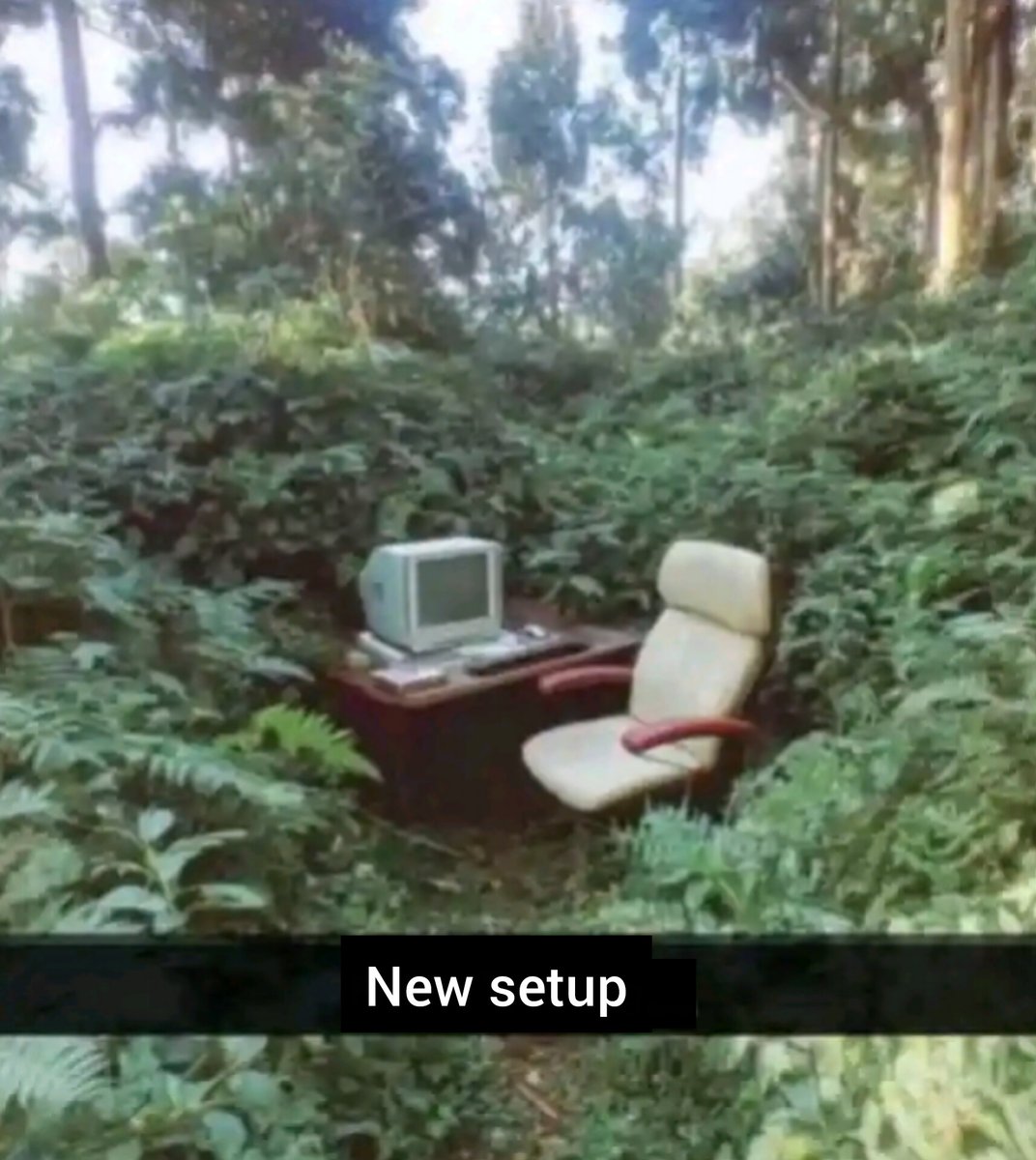 Shunsui Kyōraku tweet media