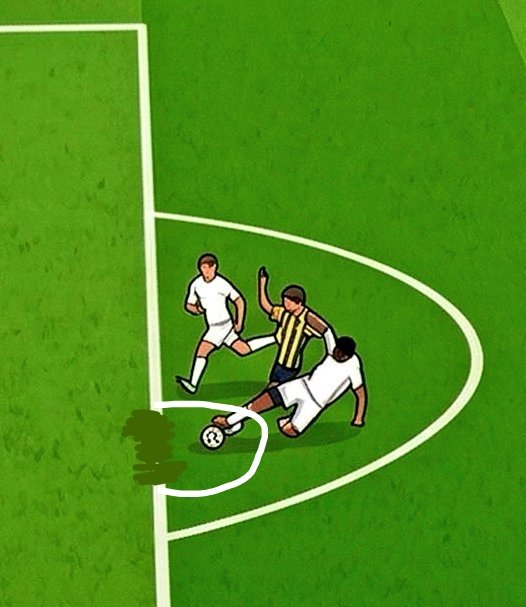 Cerebrum Cerebellum (kanzi) tweet media