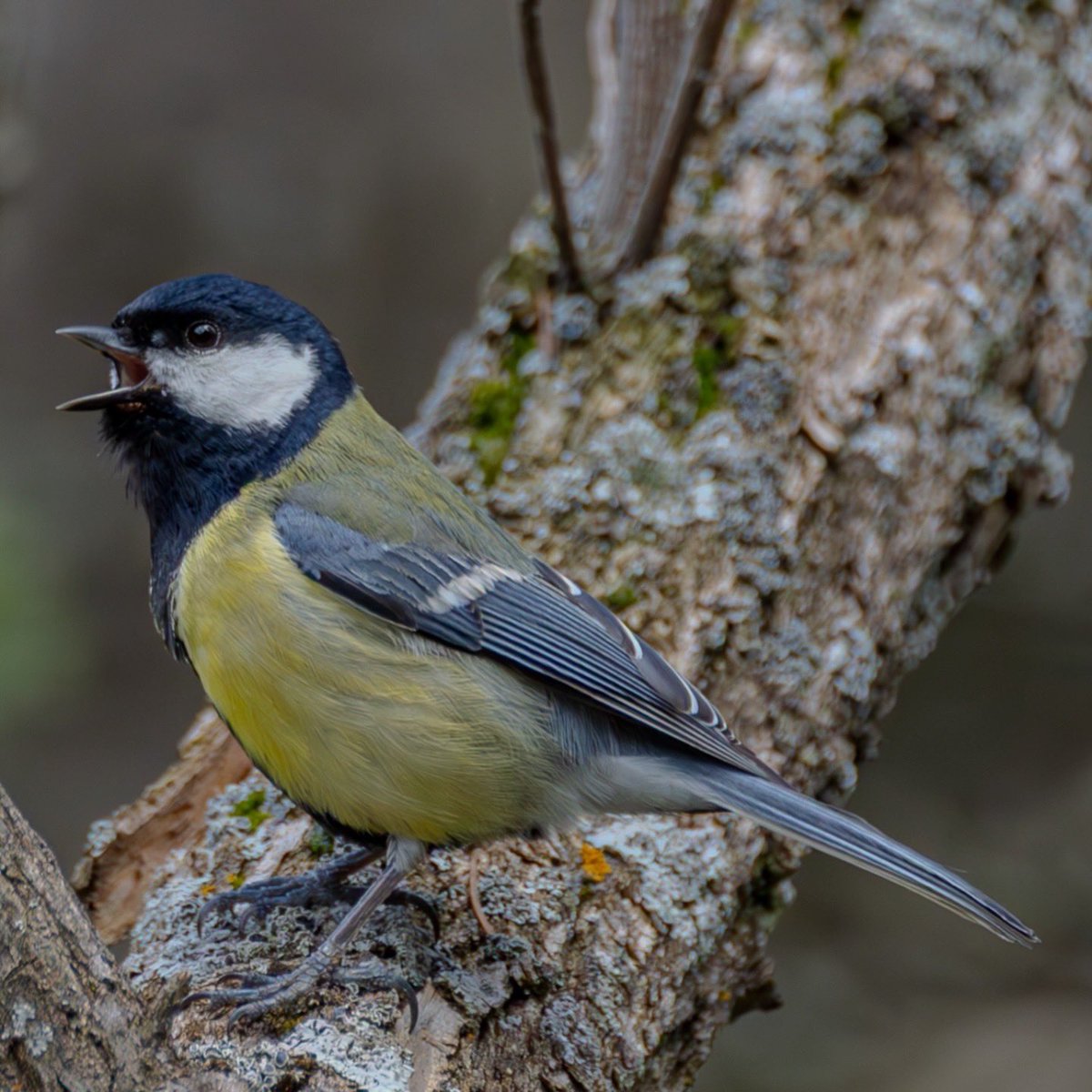 Fatih Önen 🇹🇷 tweet media