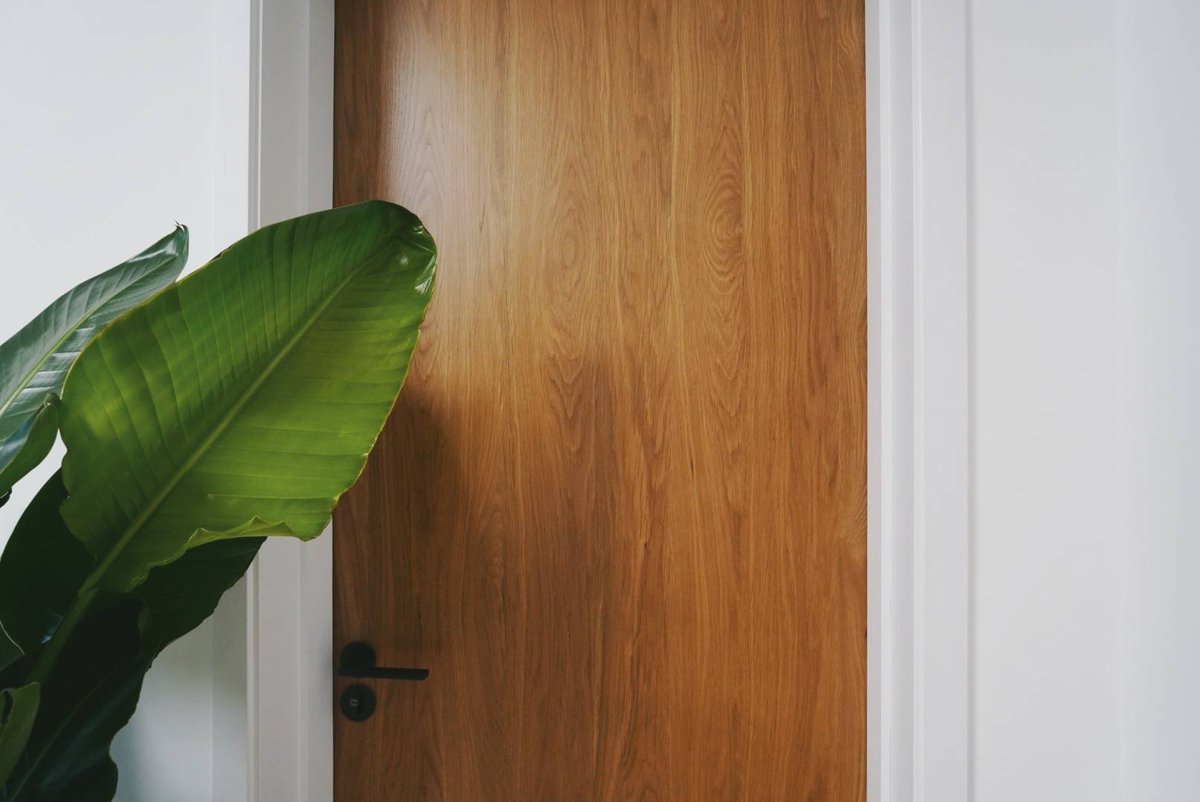 whiskero's tweet photo. "Held the door for a stranger—they smiled so bright, it made my whole morning. Small kindnesses, big warmth. " https://t.co/felhDCSqGw
