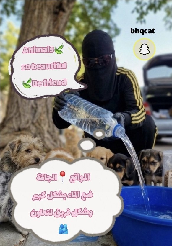 a_tbny's tweet photo. ❤️تفريغ مهامك للاهتمام بمن حولك 
🍗🍃بقايا أكلك لفئه اخرى يضاعف اجرك 
☀️في وقت الصيف اعطف من حولك بالماء 
https://t.co/gCxL5nI672 https://t.co/cOvbxzQRwB