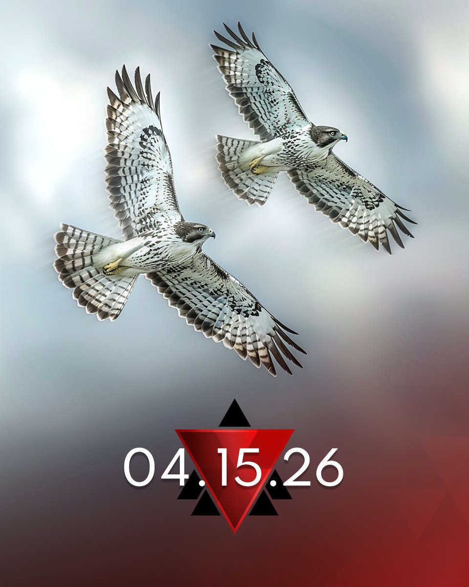 Metalstorm tweet media