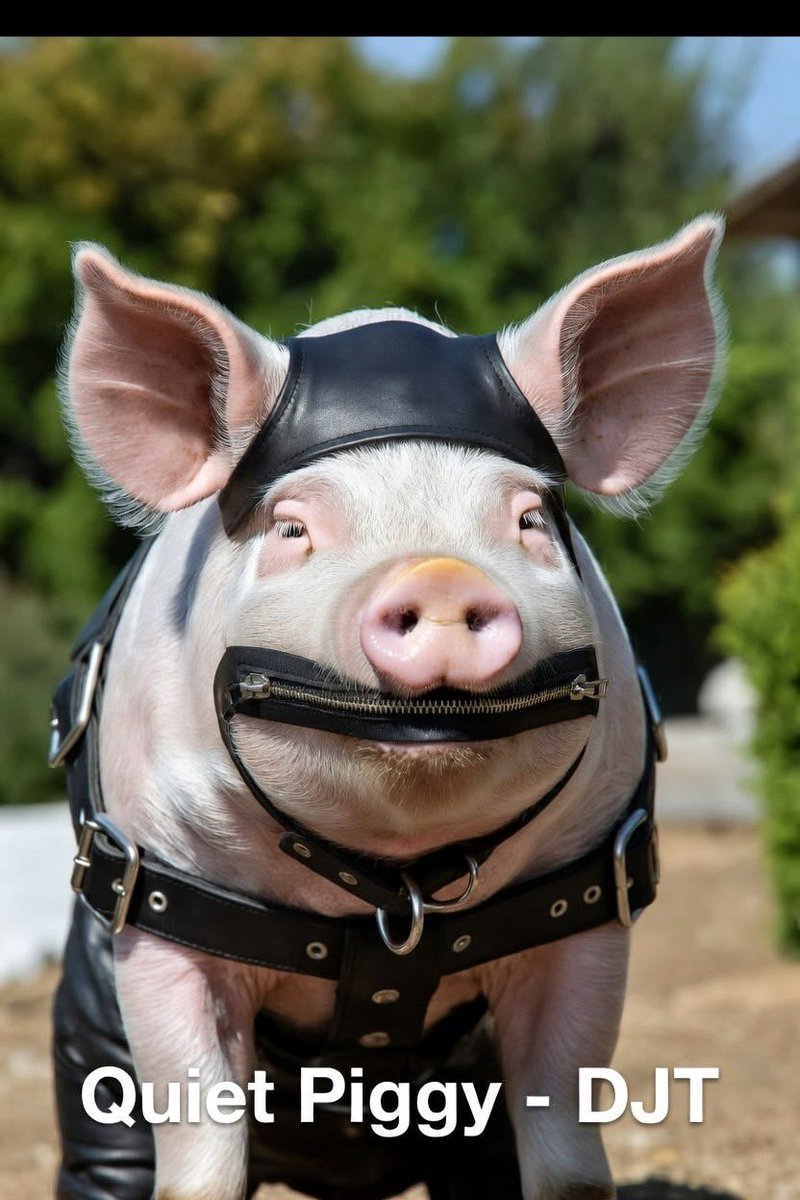 Joshua B. tweet media